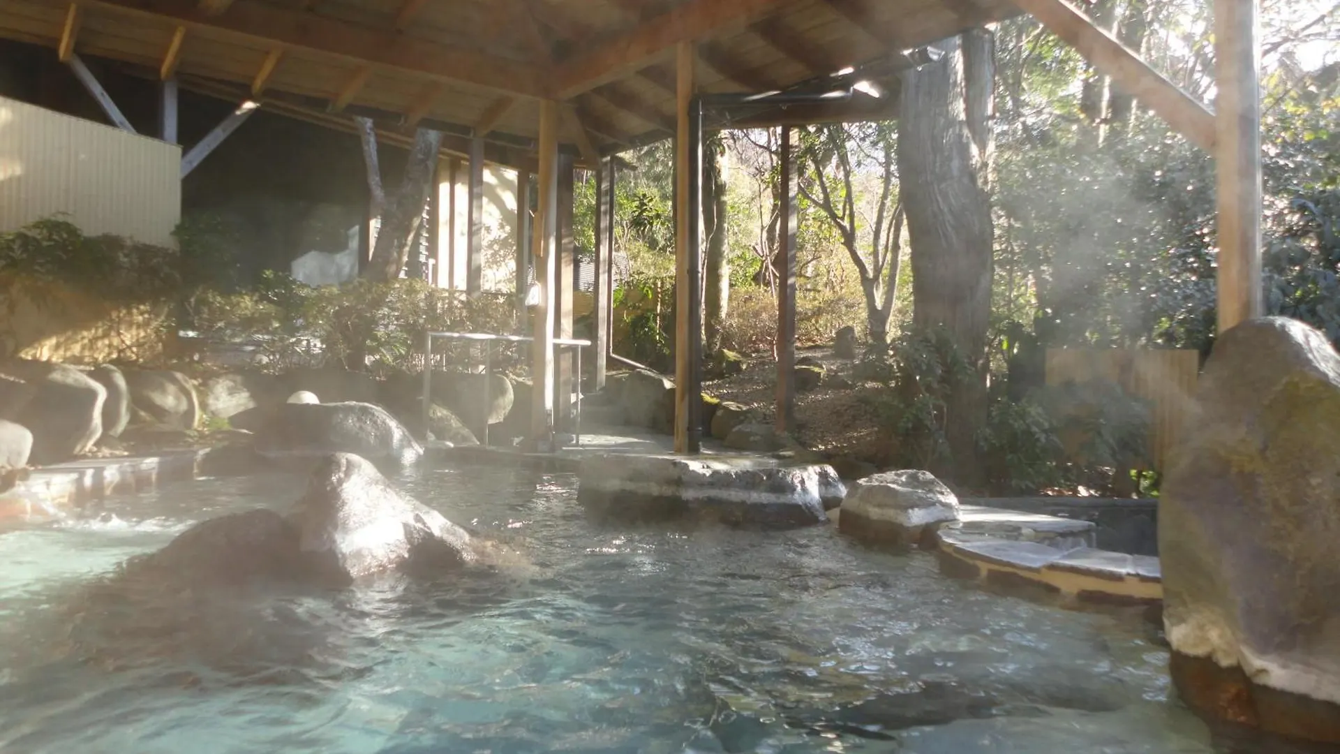Yoshimatsu Hotel Hakone 4*,