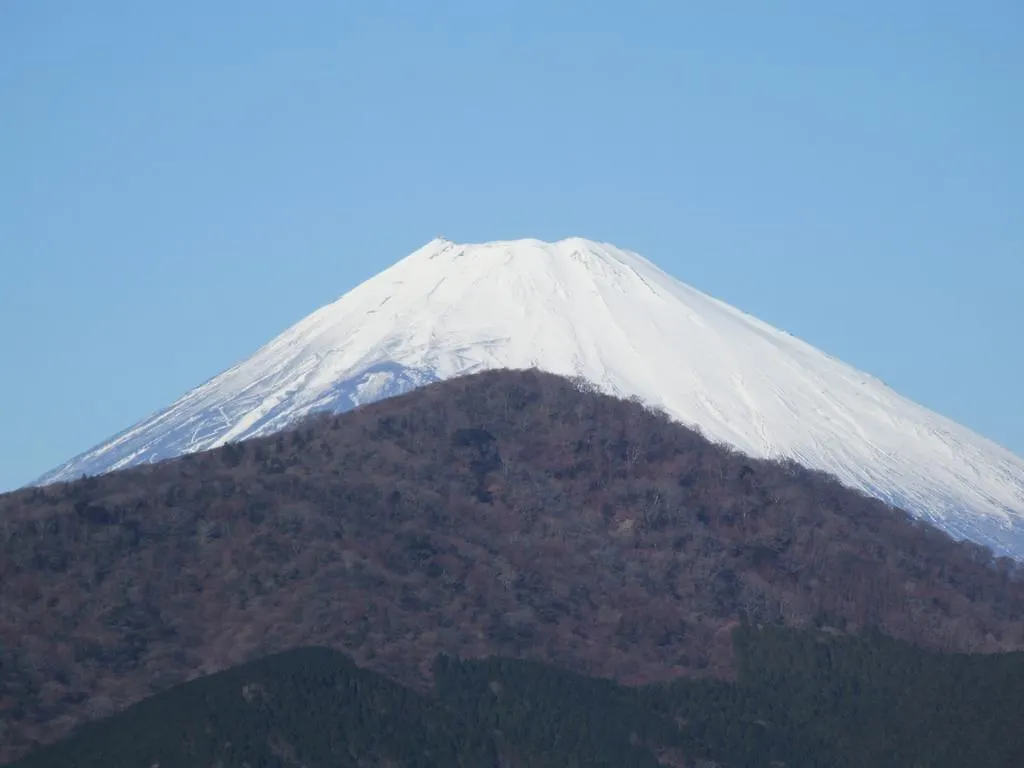 Yoshimatsu Hotel Hakone Ryokan